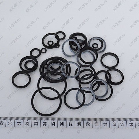 Ремкомплект/Kit Sealaspol Total D503279 Doosan